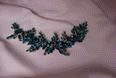 Rana ocean blue