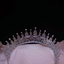 Silberne königliche Brauttiara
